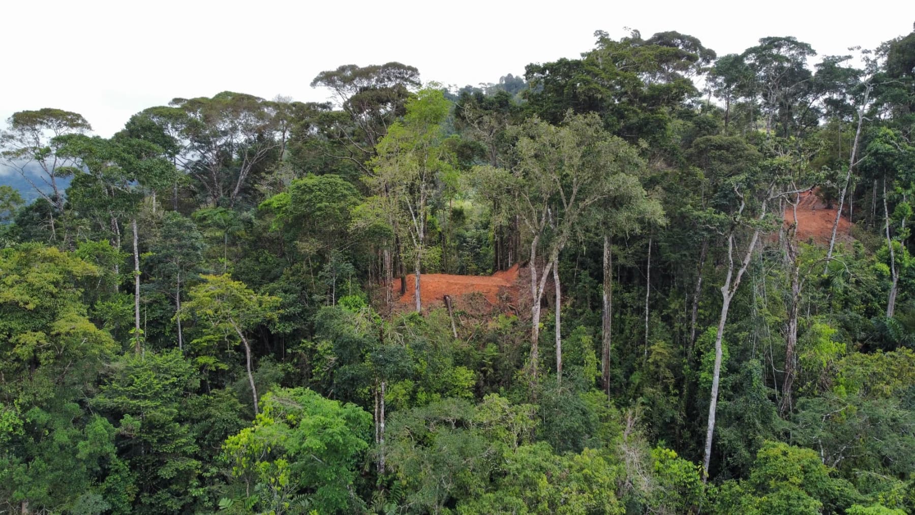 Land at Bahía Ballena