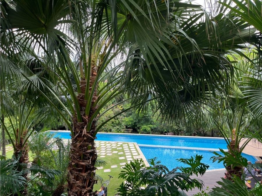 Apartment at Quitirrisí