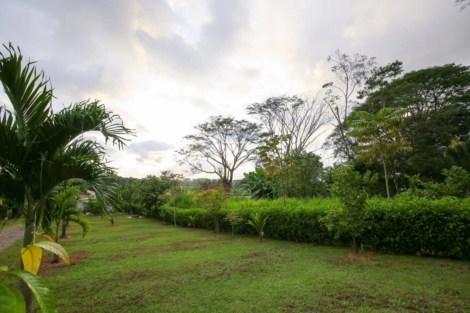 Commercial at Hatillo