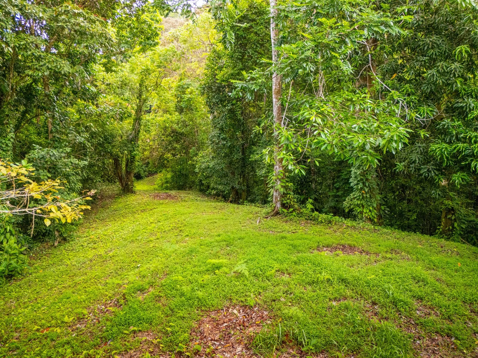 Terreno en Puerto Cortés