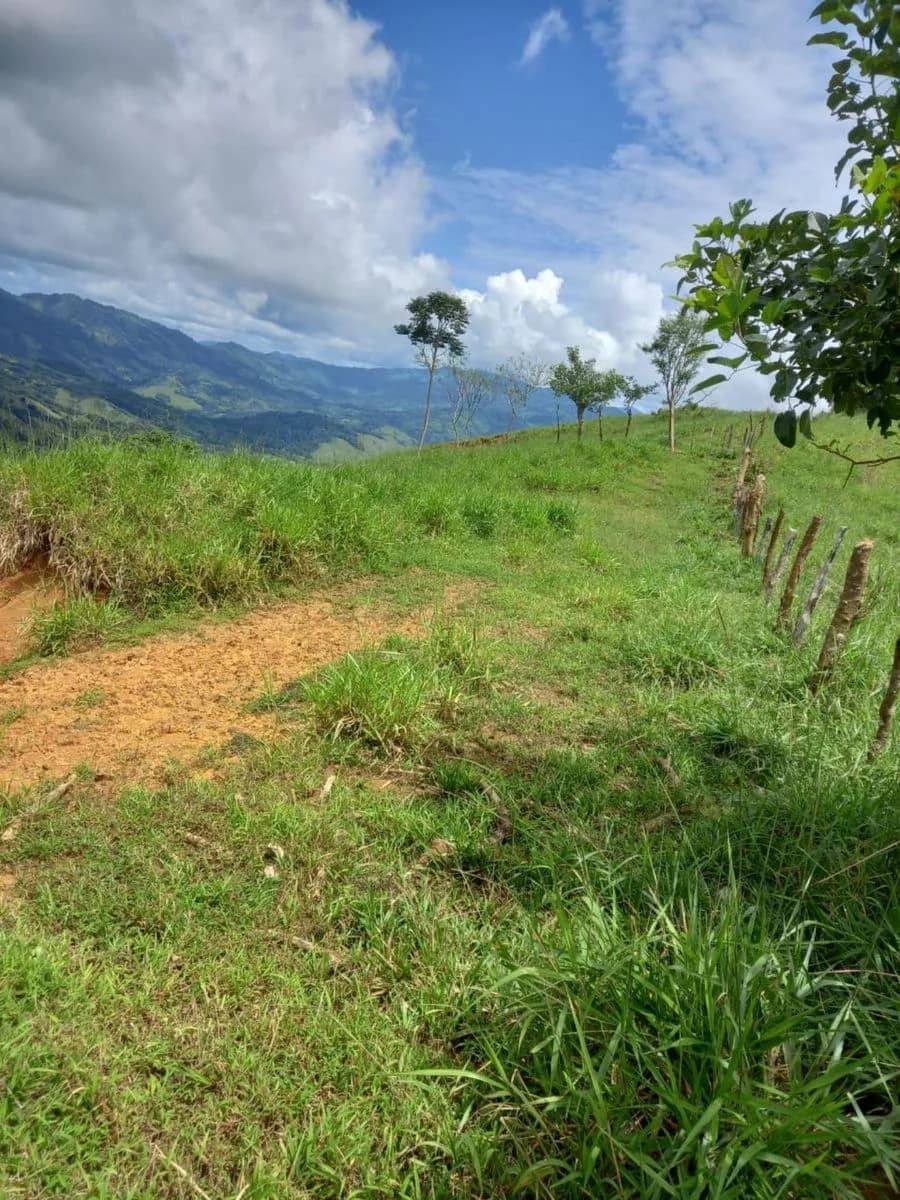 Terreno en Barú
