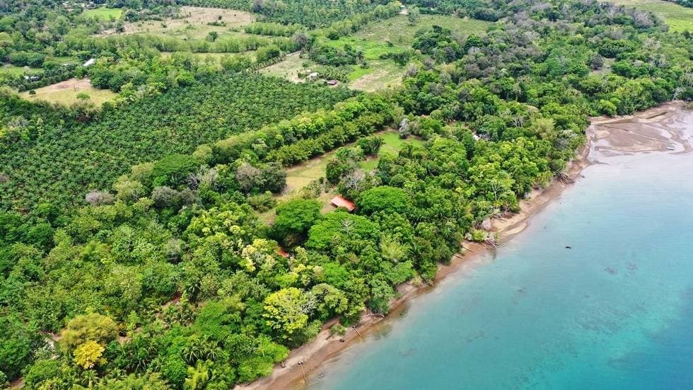 Estate at Puerto Jiménez