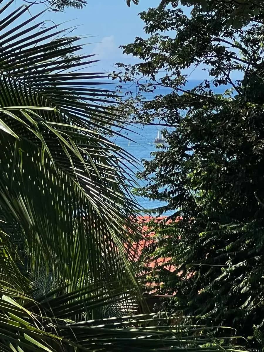 Land at Quepos