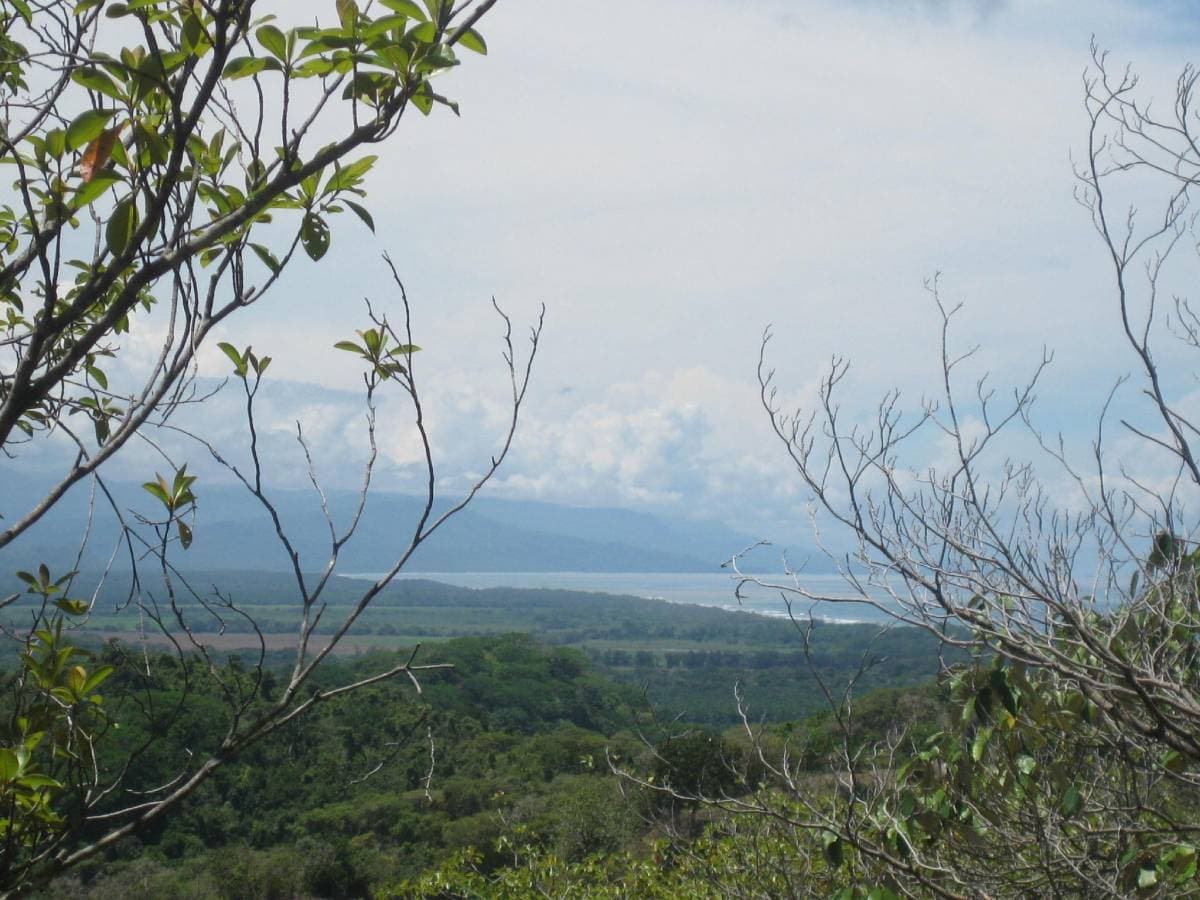 Property at Manuel Antonio