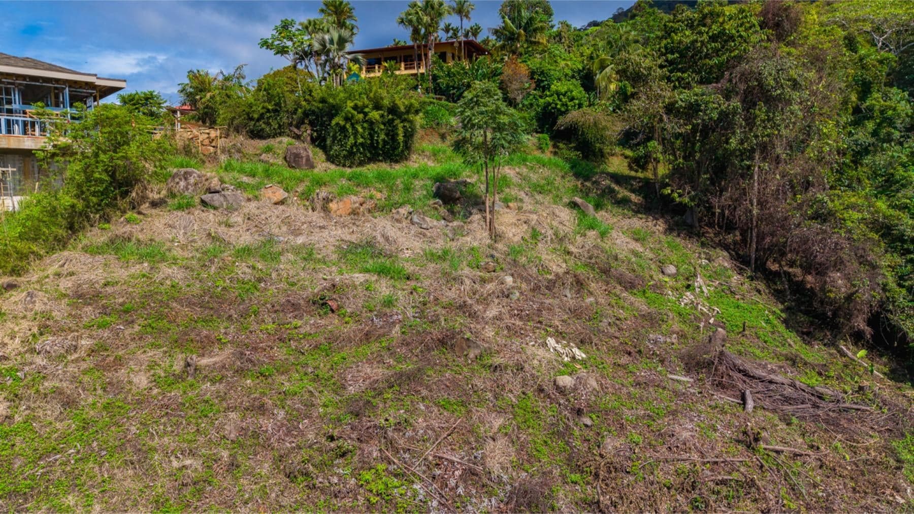 Terreno en Bahía Ballena