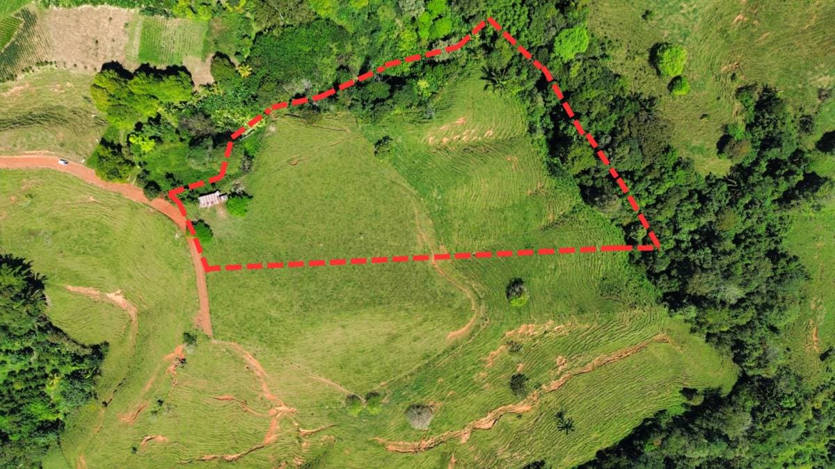 Propiedad en Pejibaye