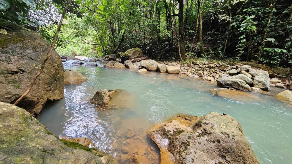 Propiedad en San Isidro del General