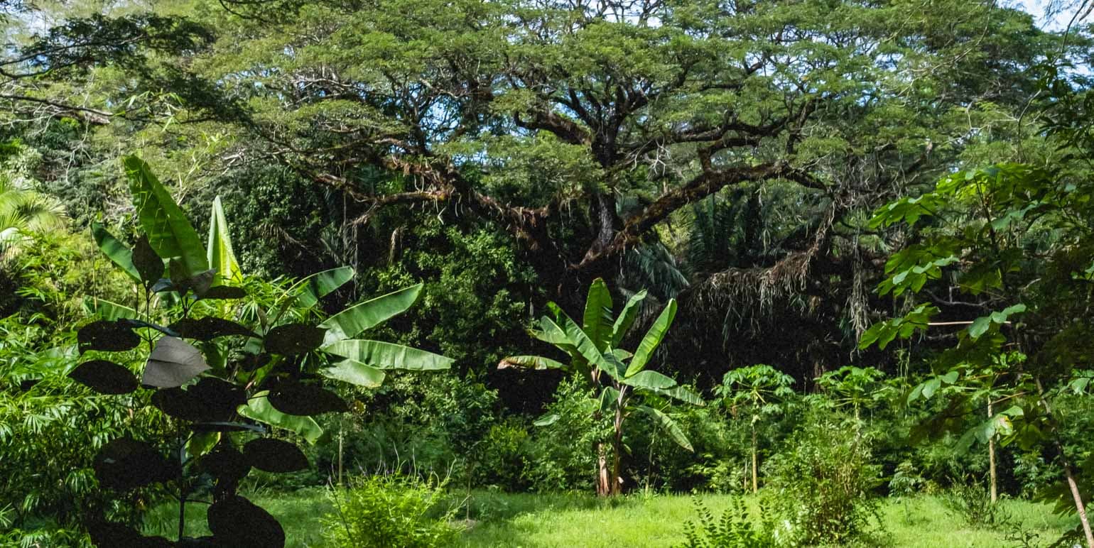Propiedad en Cóbano