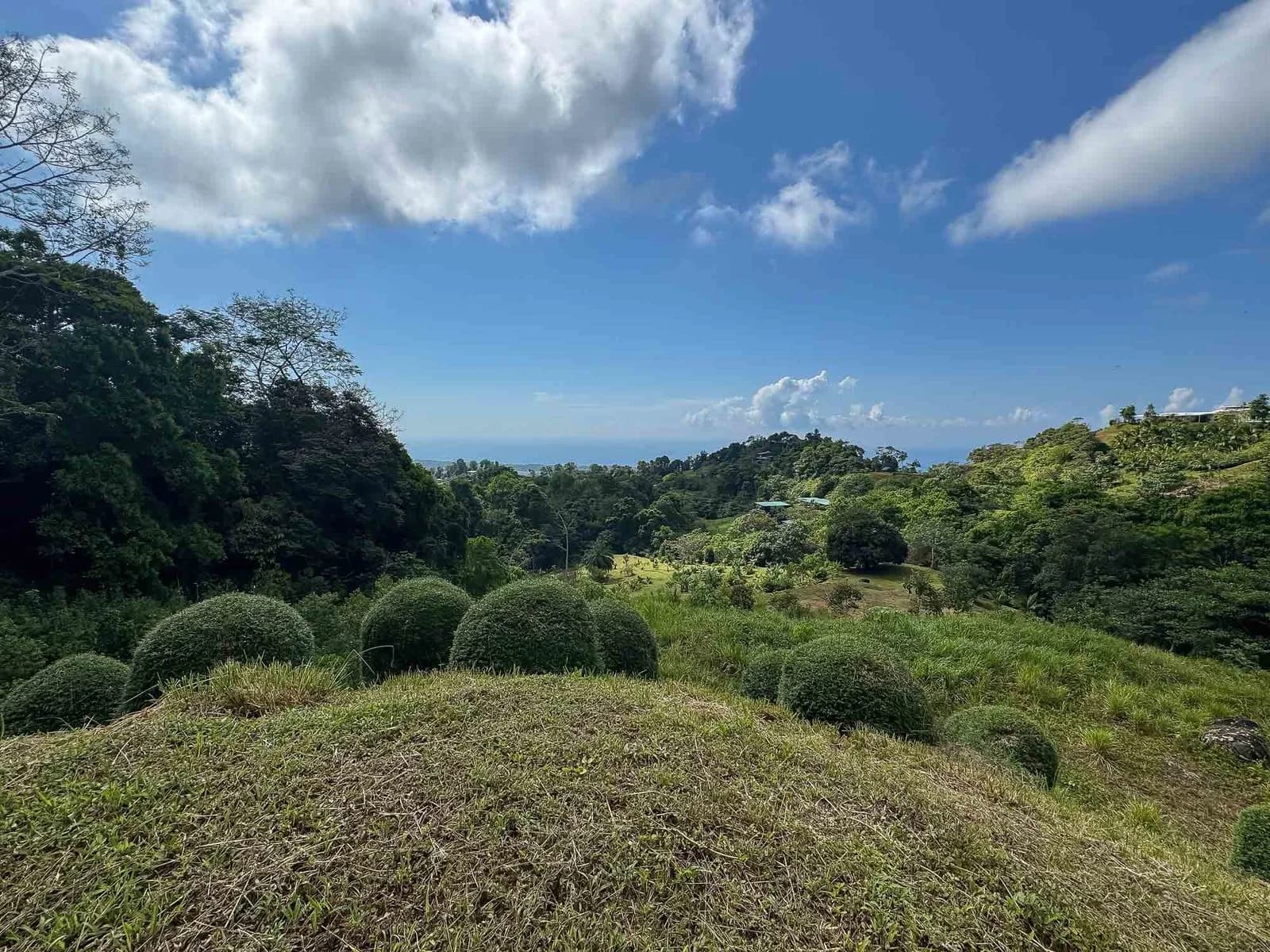 Land at Quepos