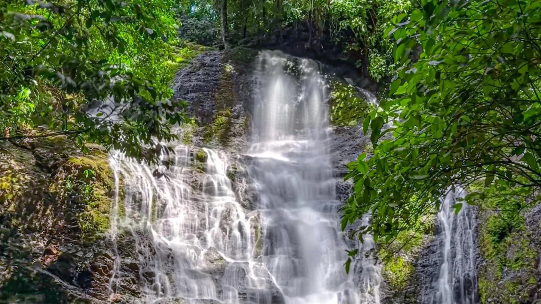 Terreno en Bahía Ballena