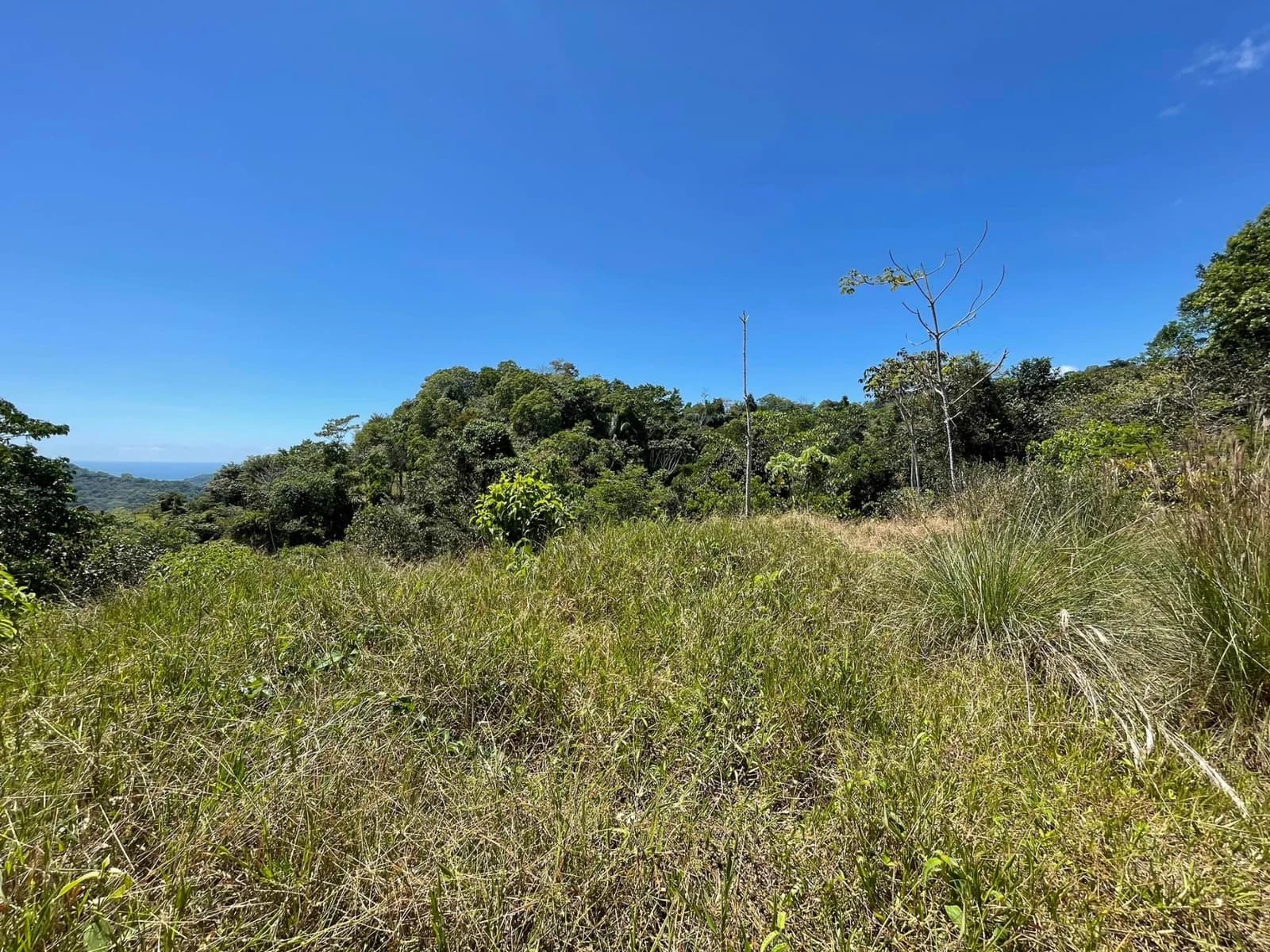 Terreno en Barú