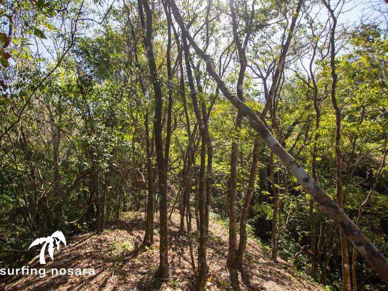 Terreno en Cuajiniquil