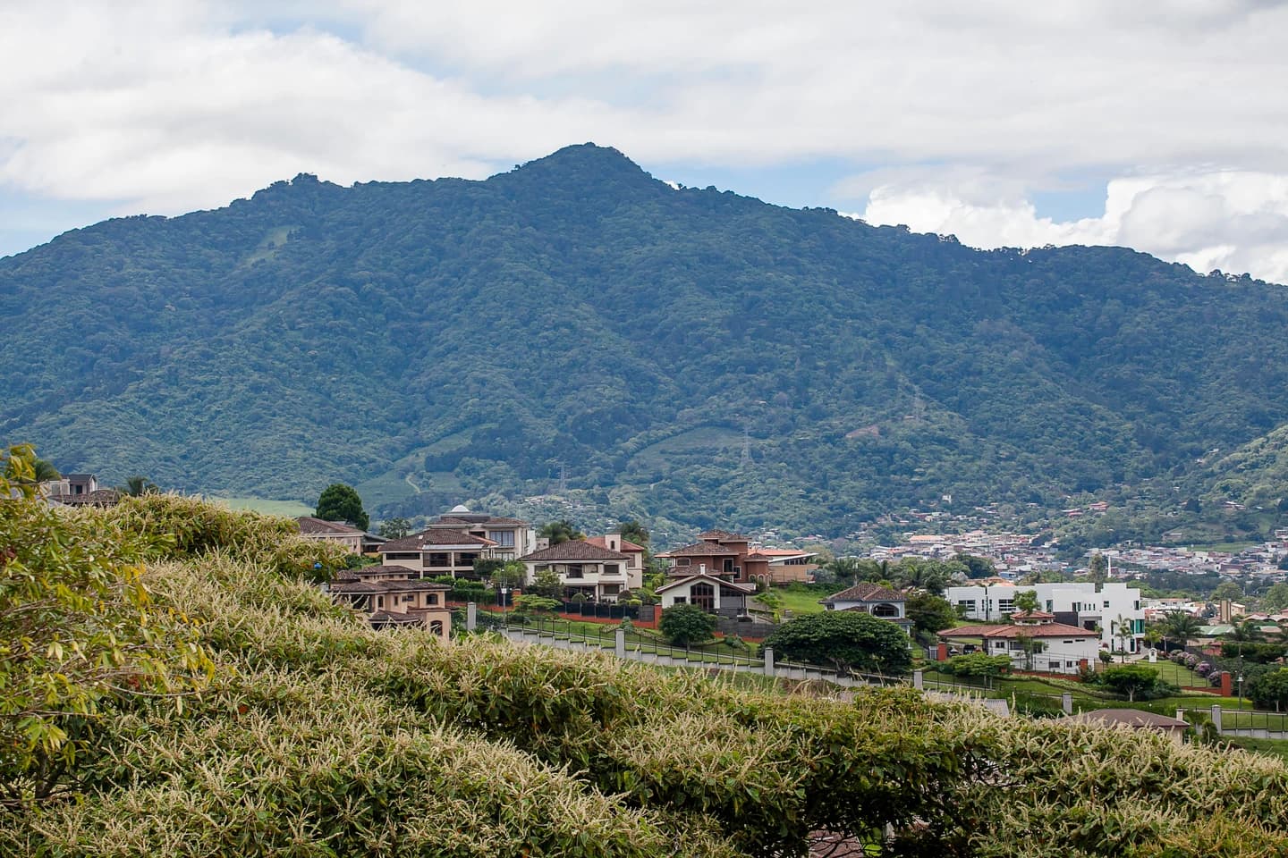 Terreno en Sánchez