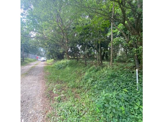 Propiedad en Alajuela