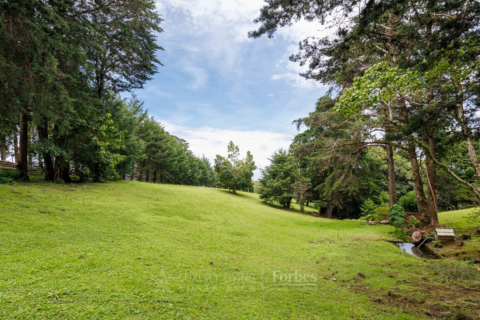 Property at San José de la Montaña