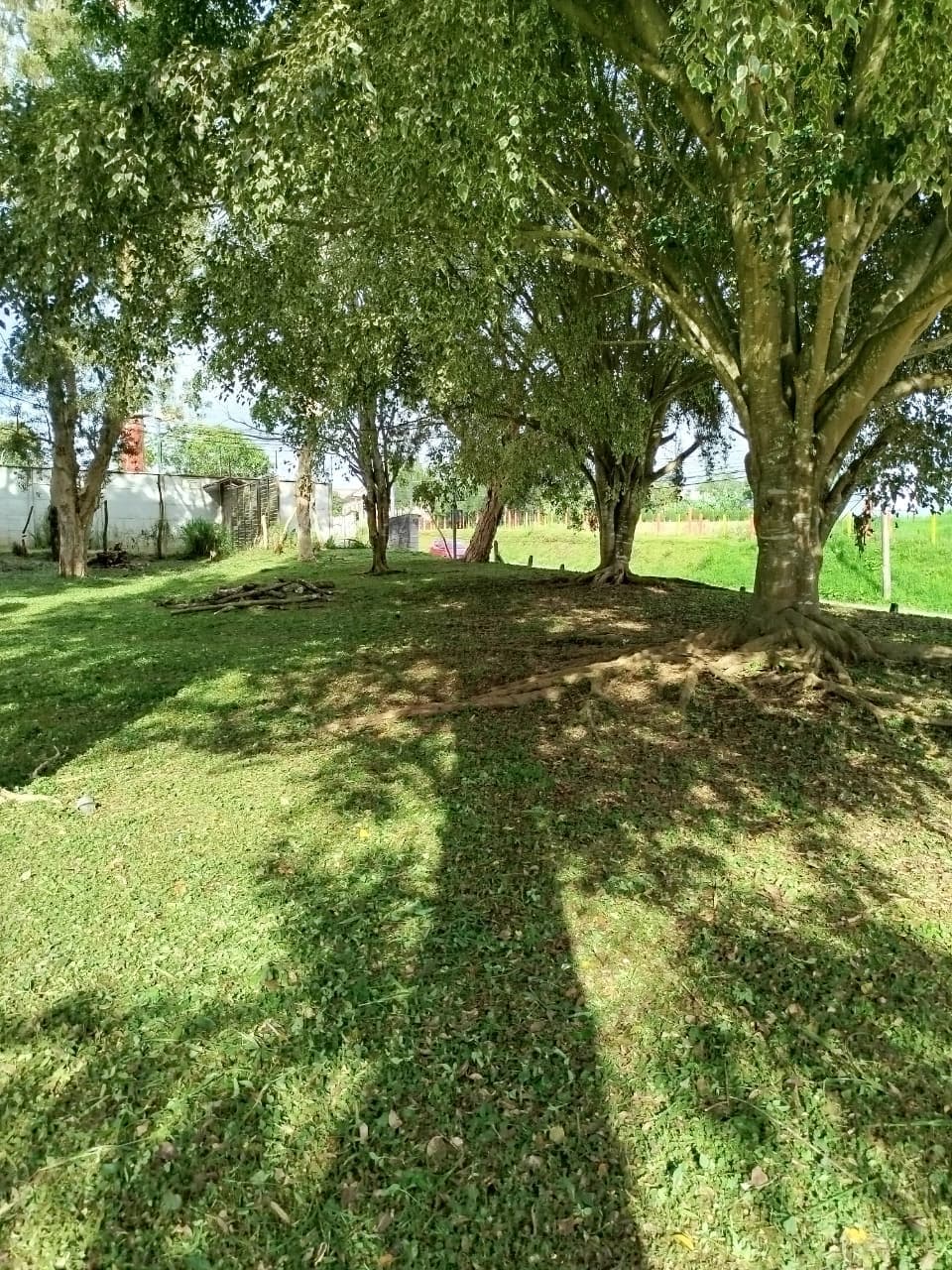 Land at Mata de Plátano