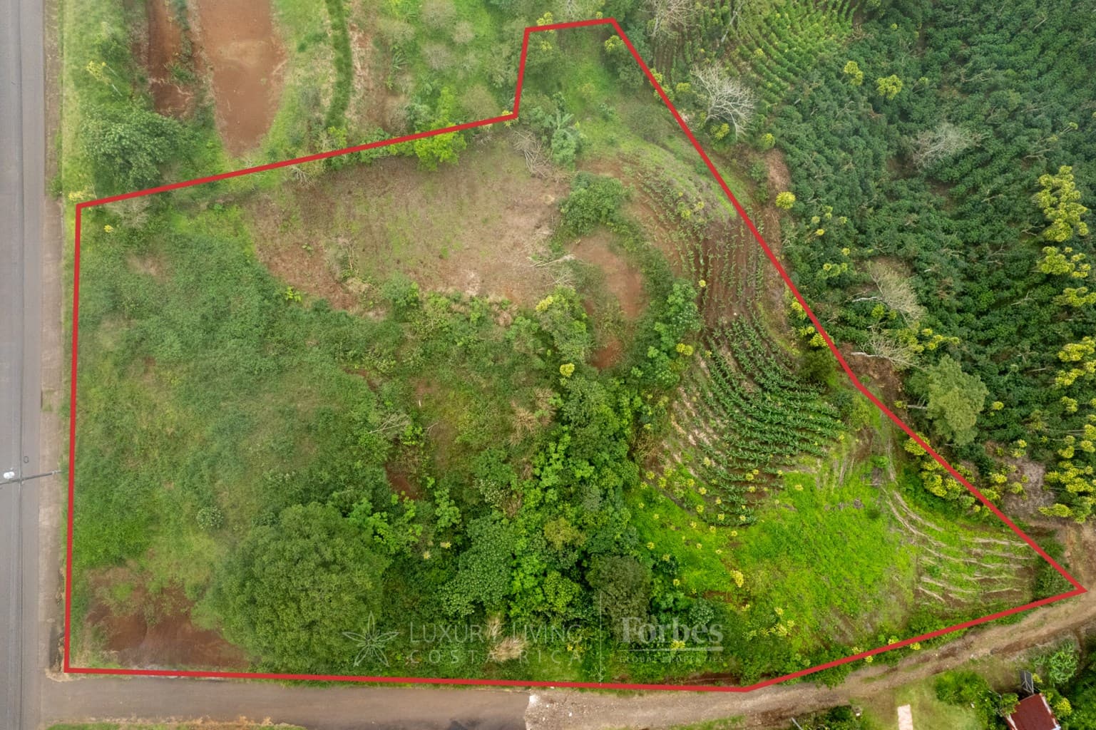 Terreno en Piedades Norte