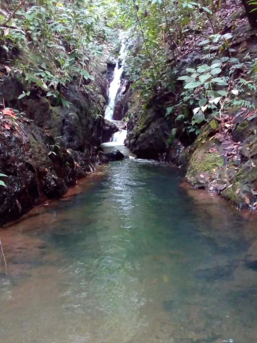 Terreno en Sierpe