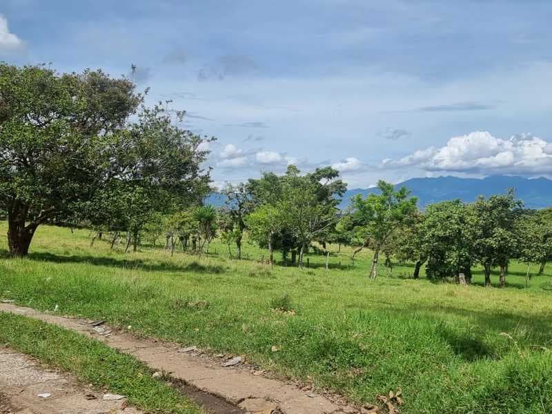 Land at San Jerónimo