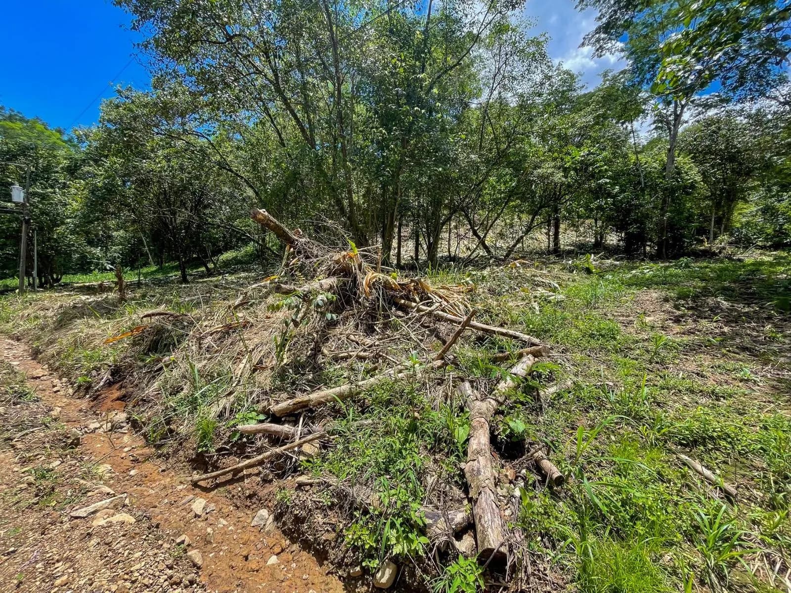 Terreno en Puerto Cortés