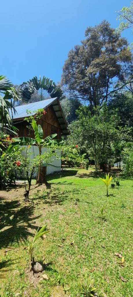 House at Calle Bordón