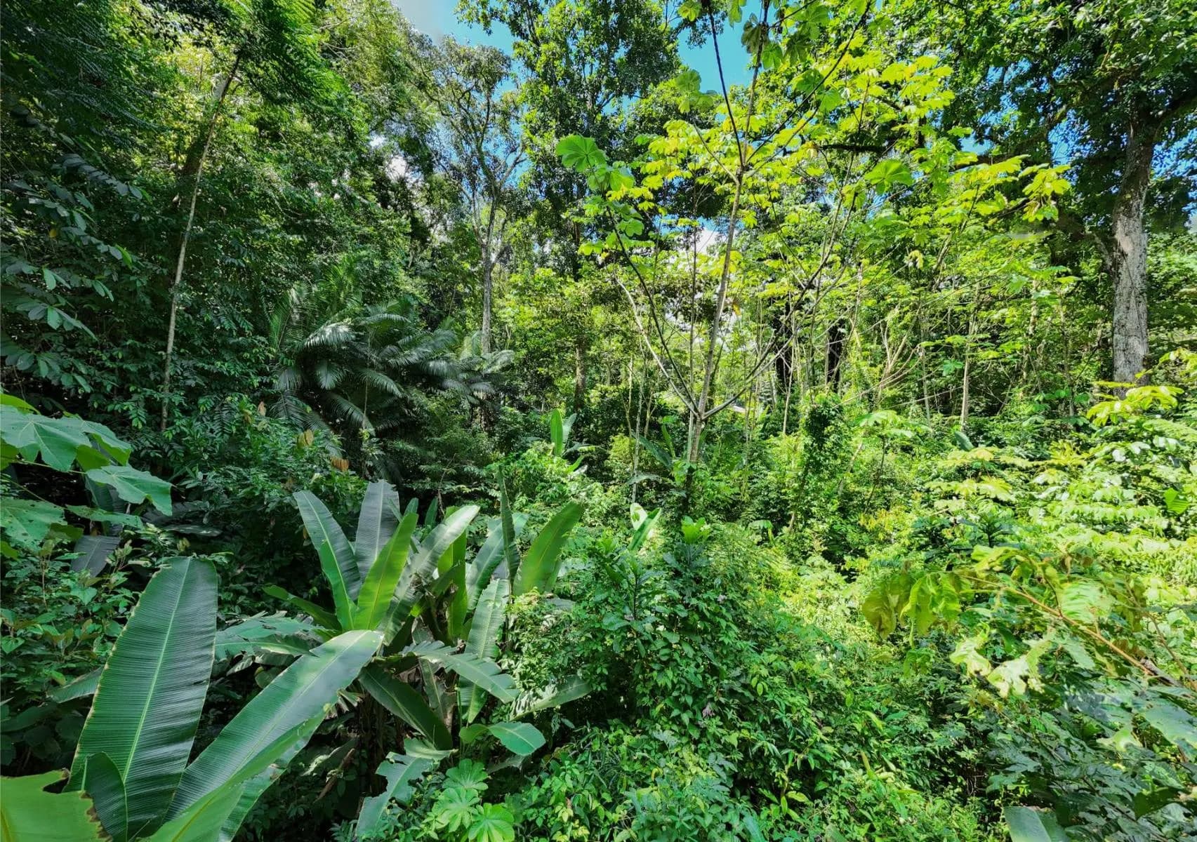 Terreno en Puerto Cortés