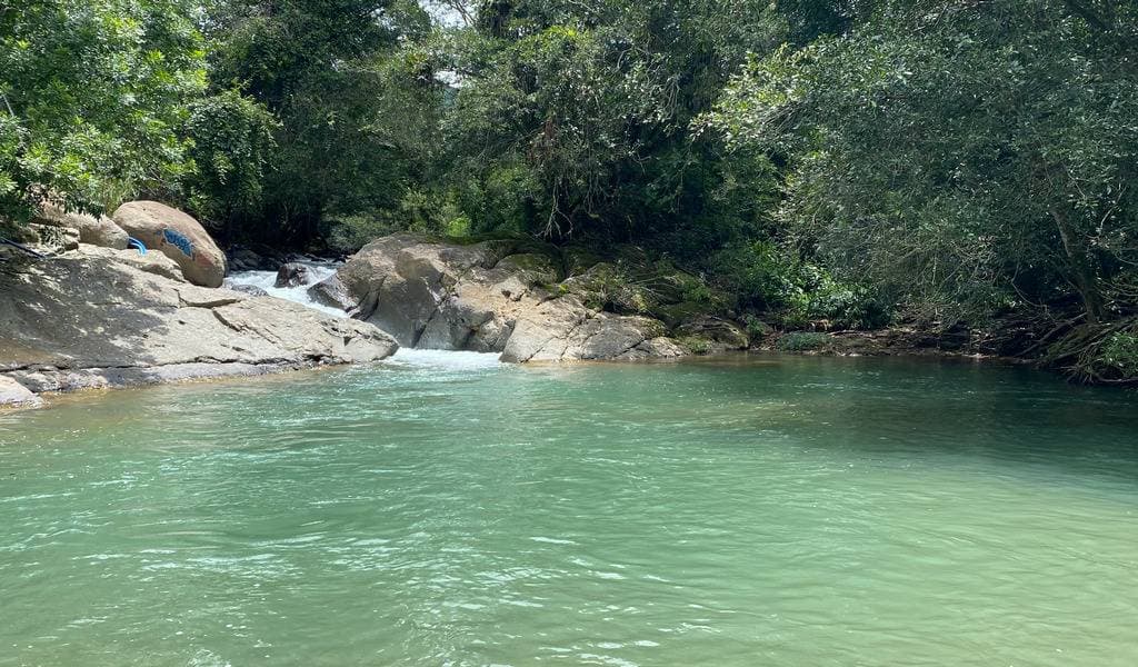 Estate at San Isidro del General