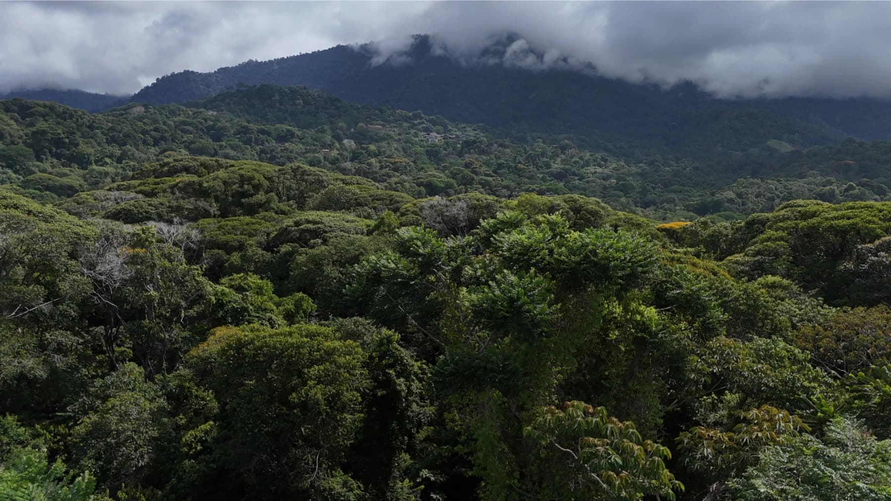 Terreno en Bahía Ballena