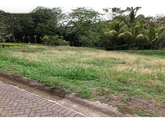 Propiedad en Piedades