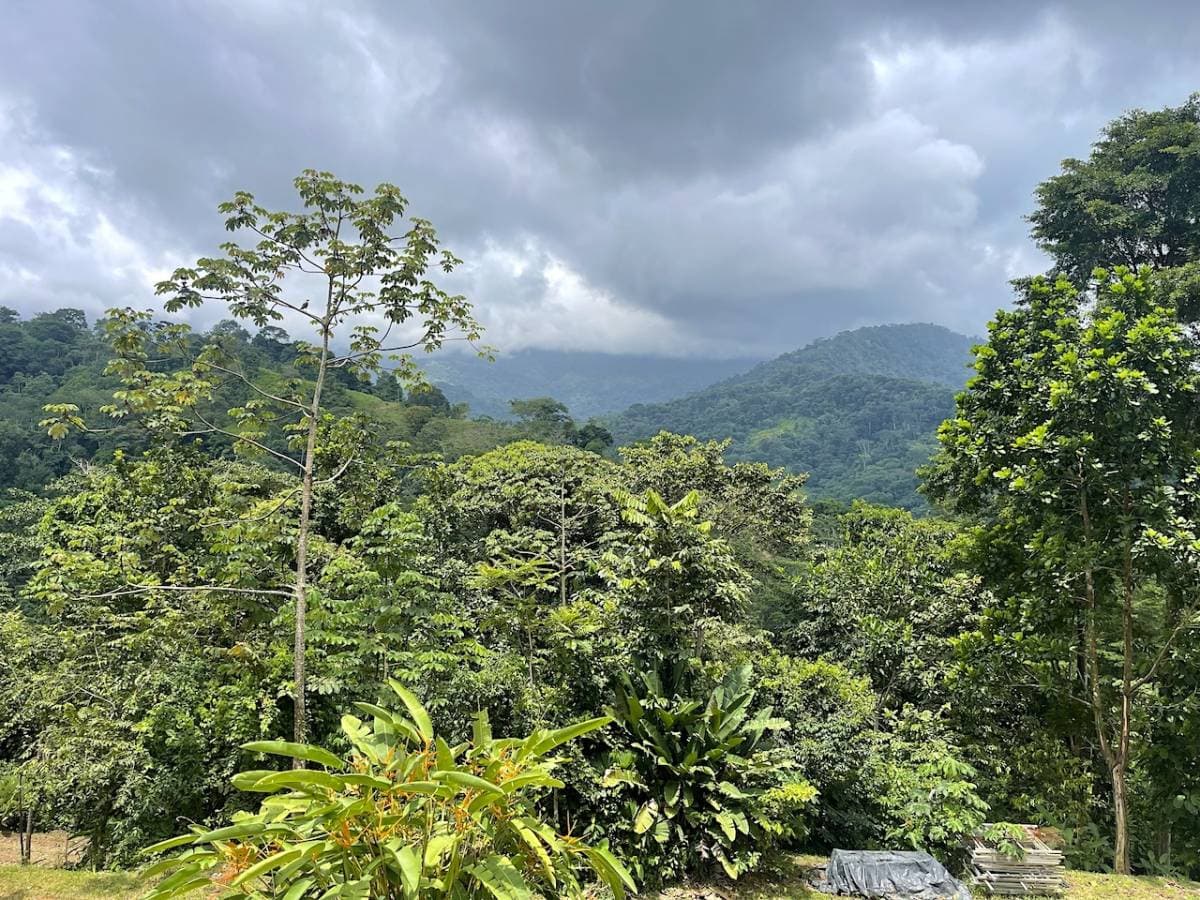 Property at Uvita