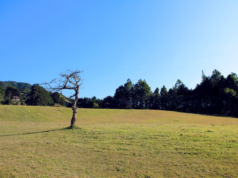 Terreno en San Isidro