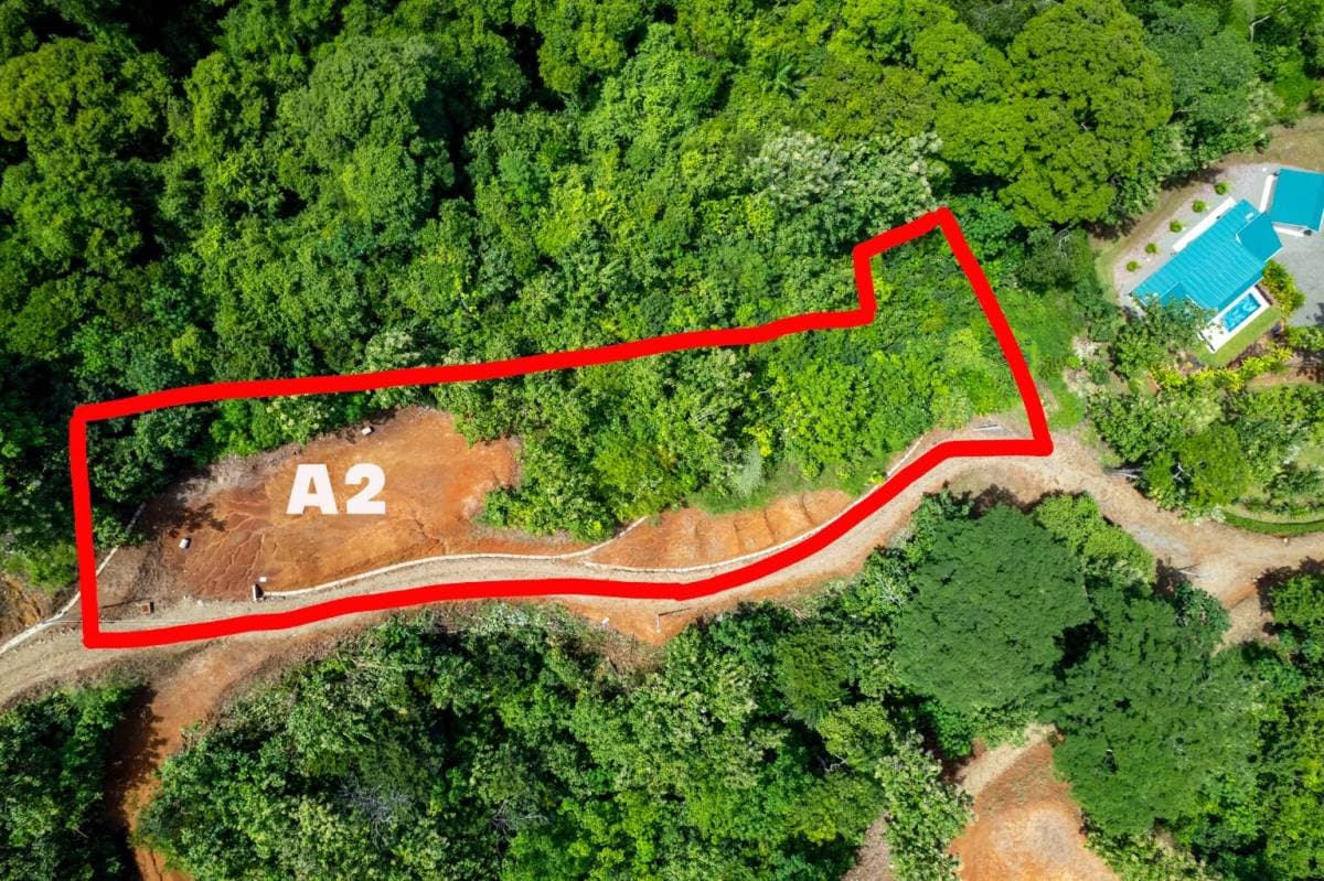 Property at Savegre
