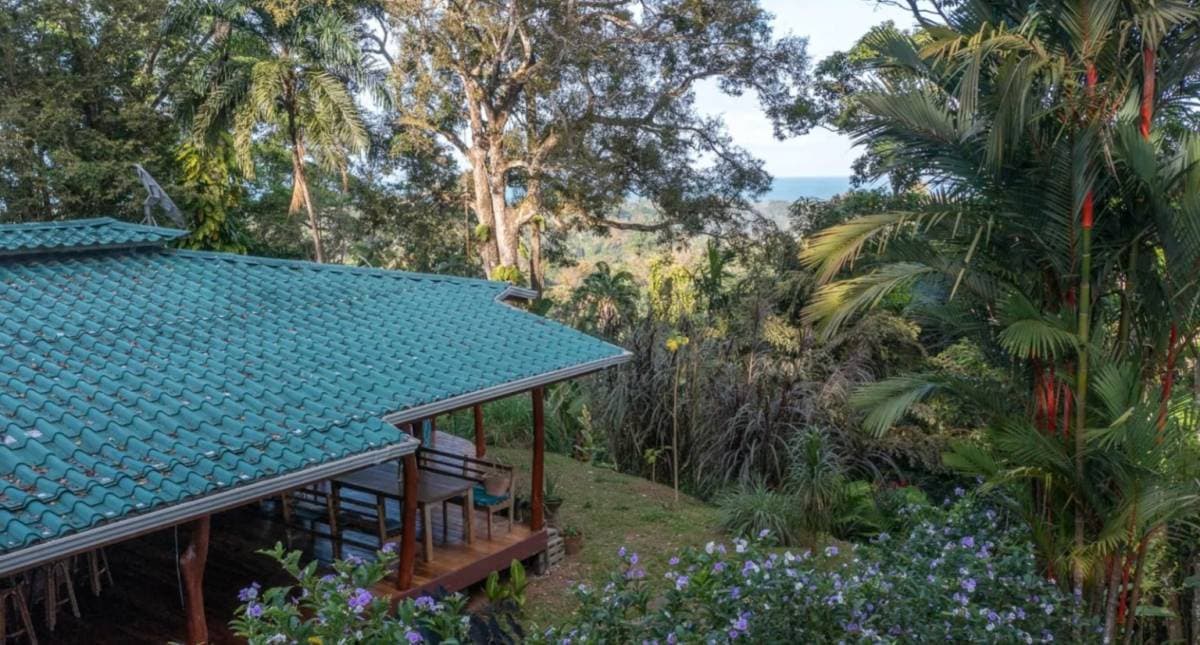 House at Calle Bordón