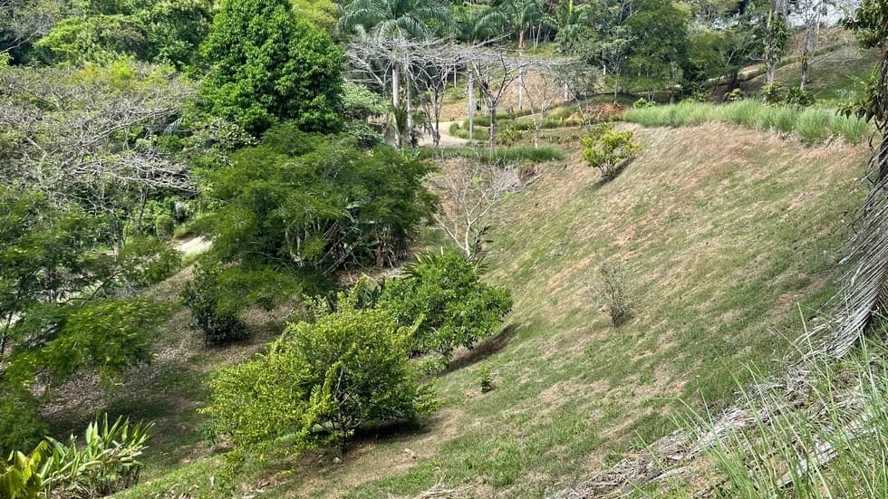 Terreno en Bahía Ballena