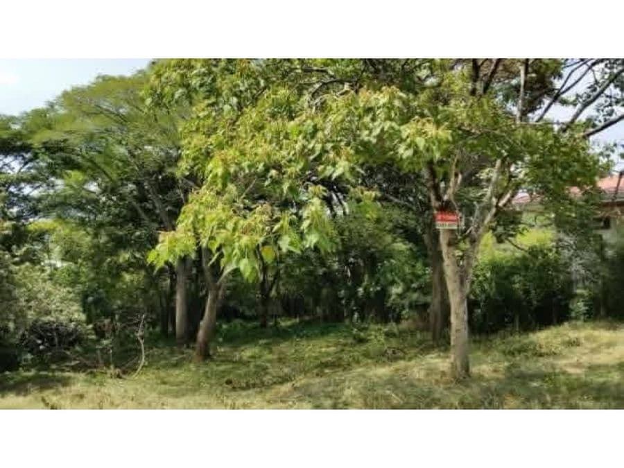 Terreno en Santa Ana