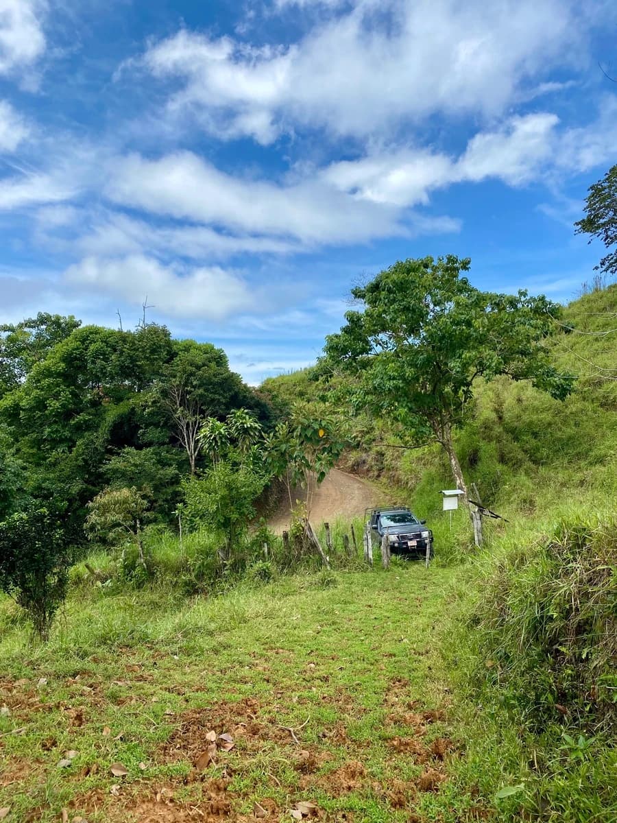 Terreno en Bahía Ballena