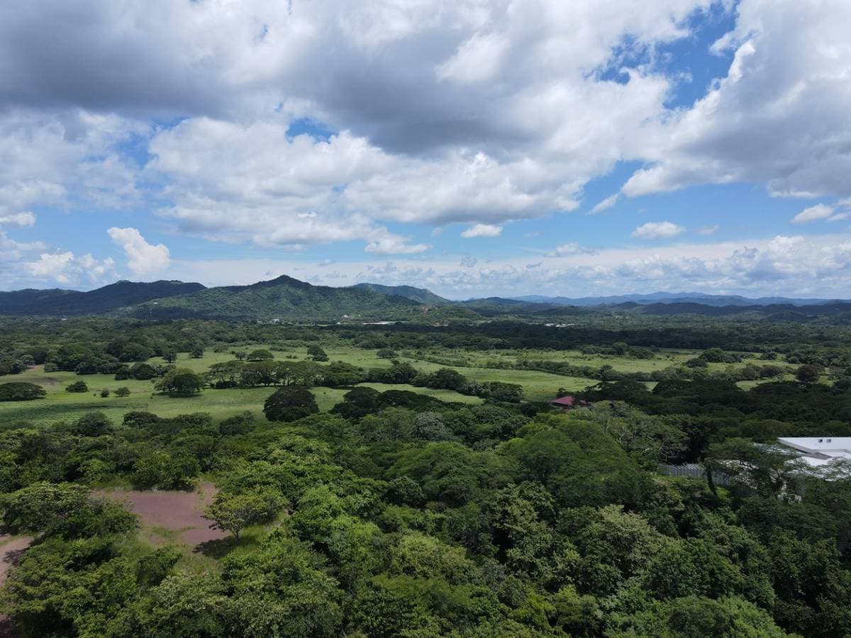 Property at Sardinal