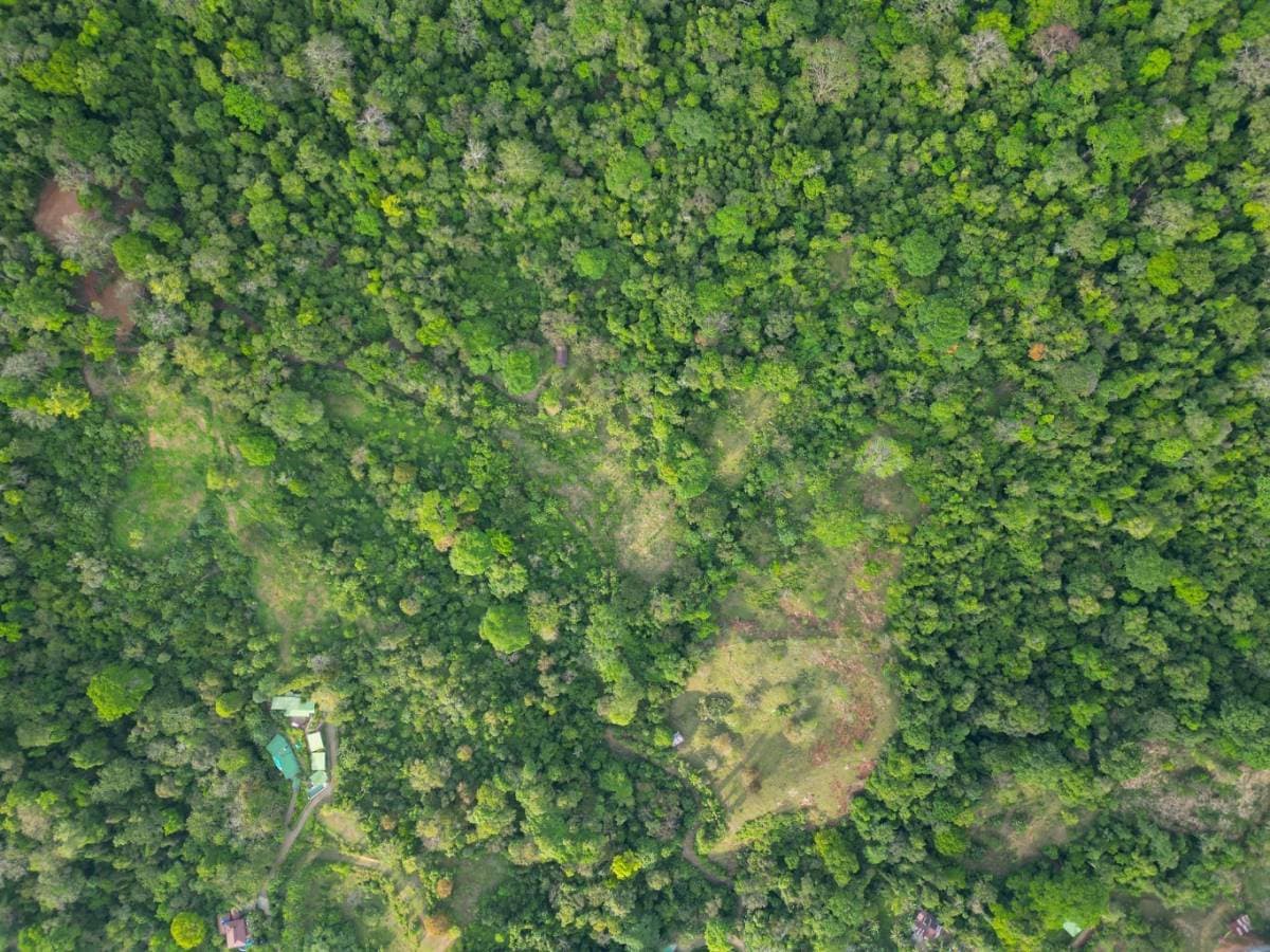 Property at Uvita
