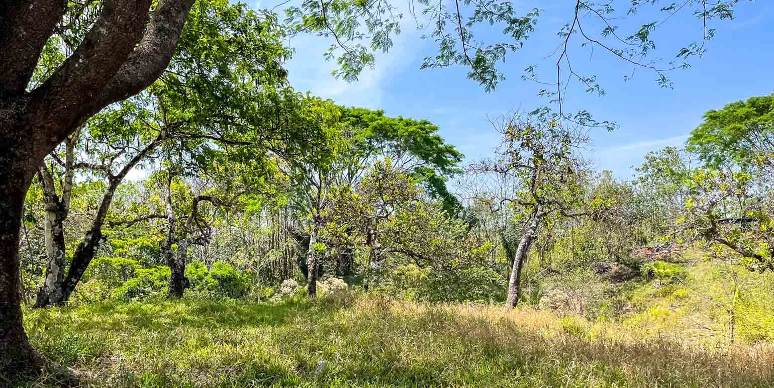 Propiedad en Cóbano