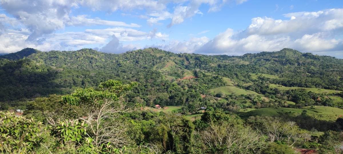 Property at Tarcolitos