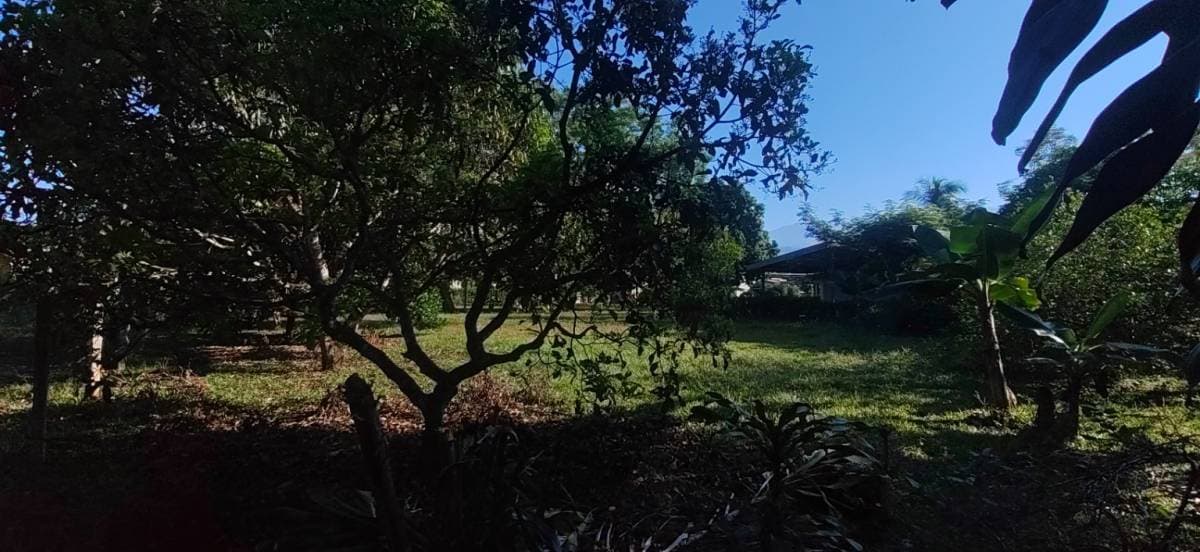 Property at San Isidro del General