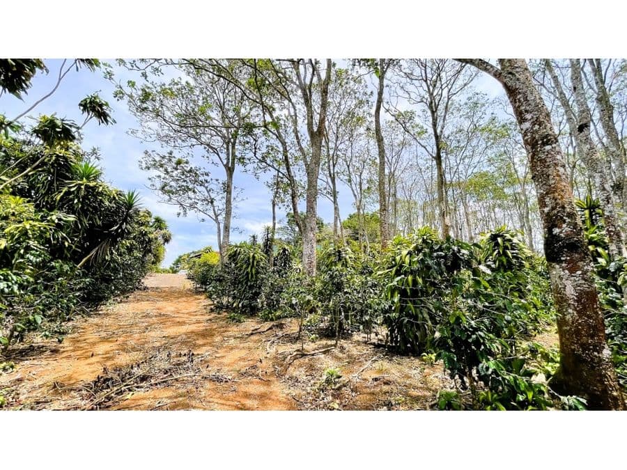 Propiedad en Alajuela