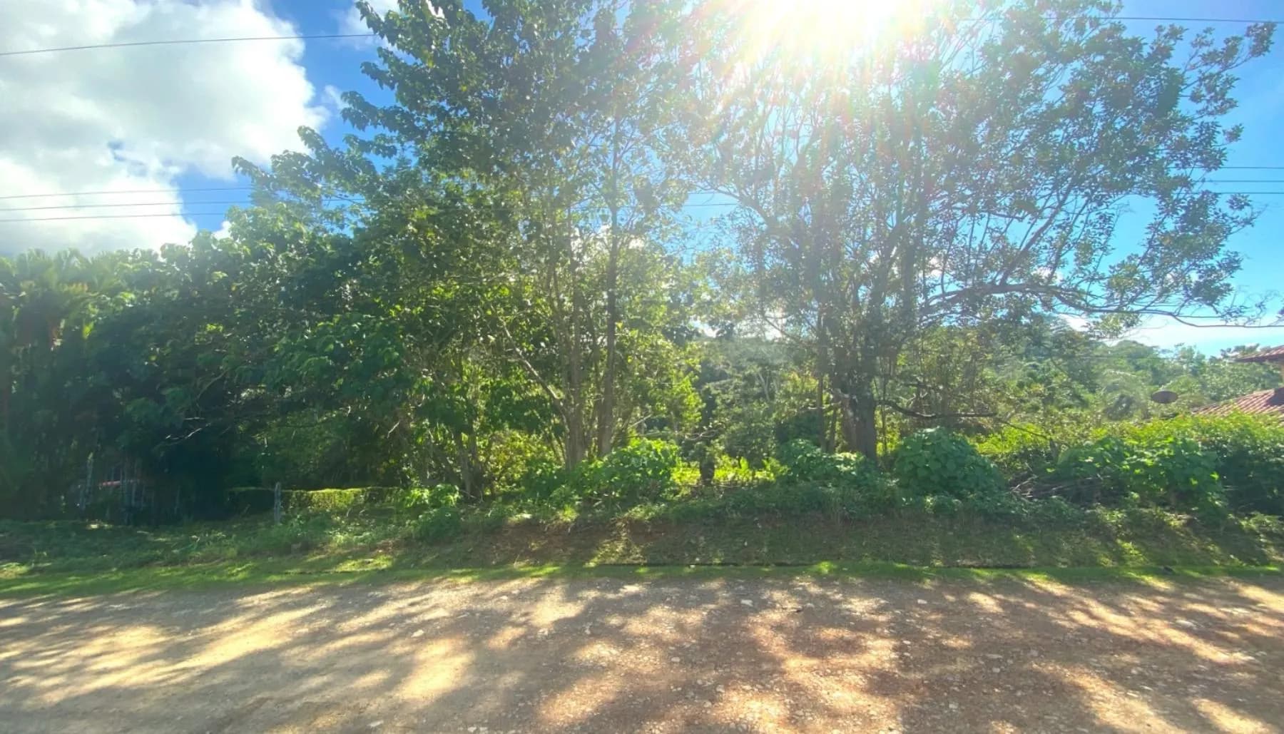 Land at Osa