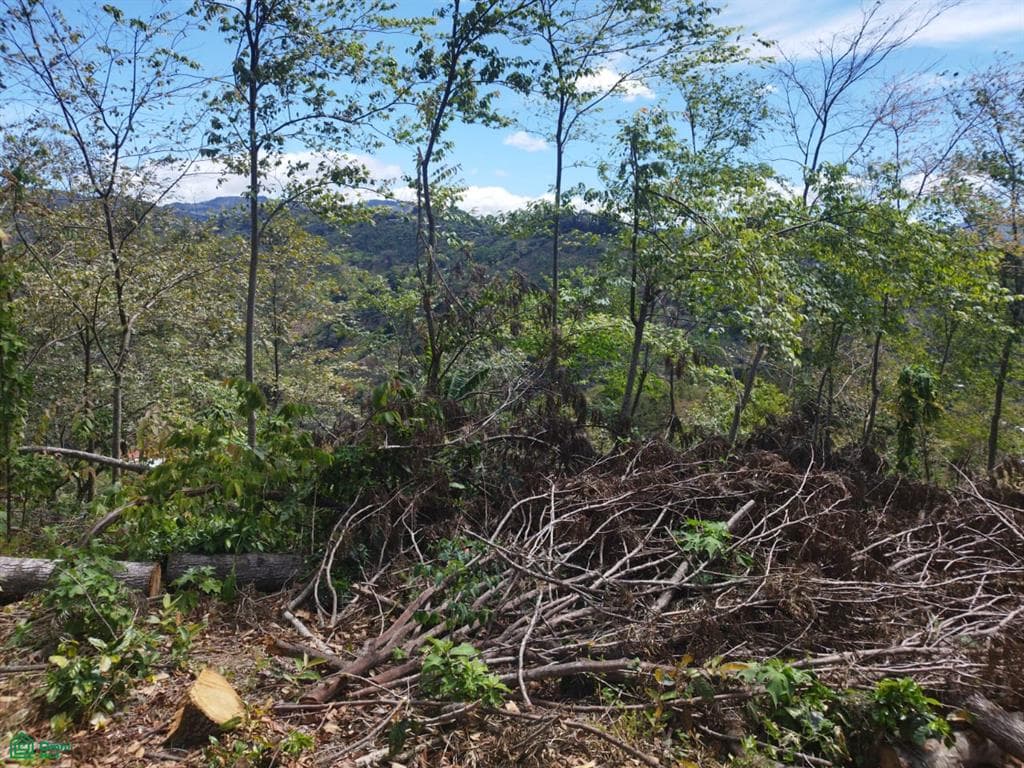 Terreno en Desamparados