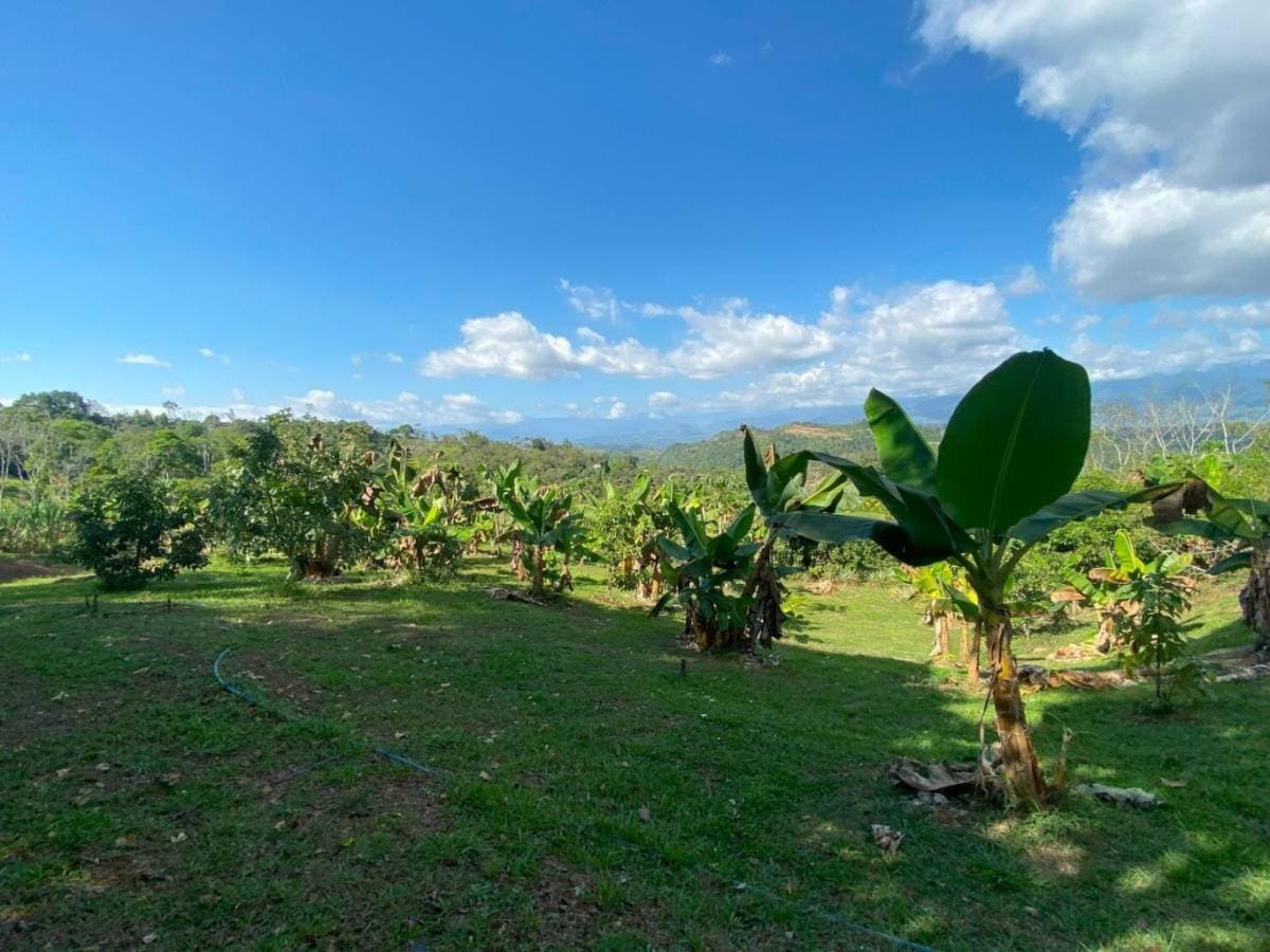 Property at San Isidro del General