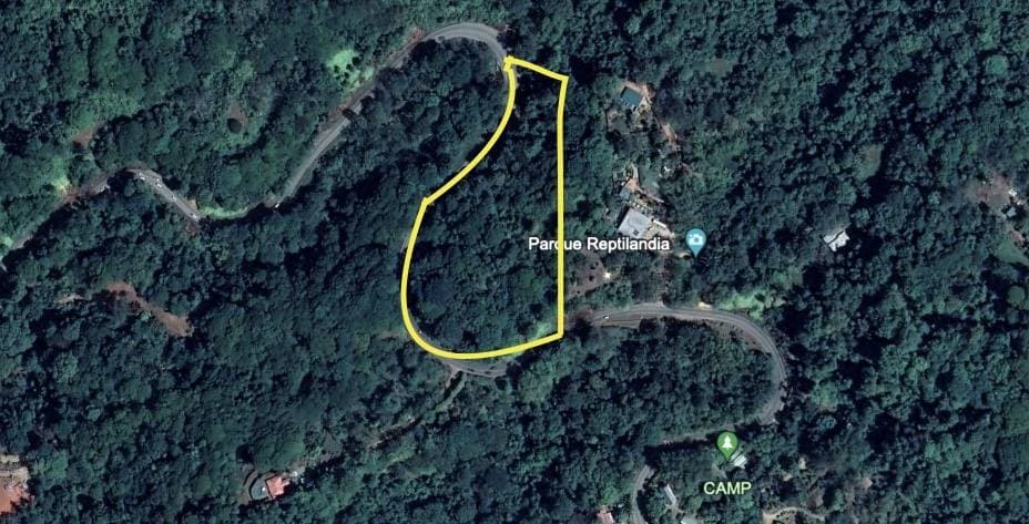 Property at Platanillo