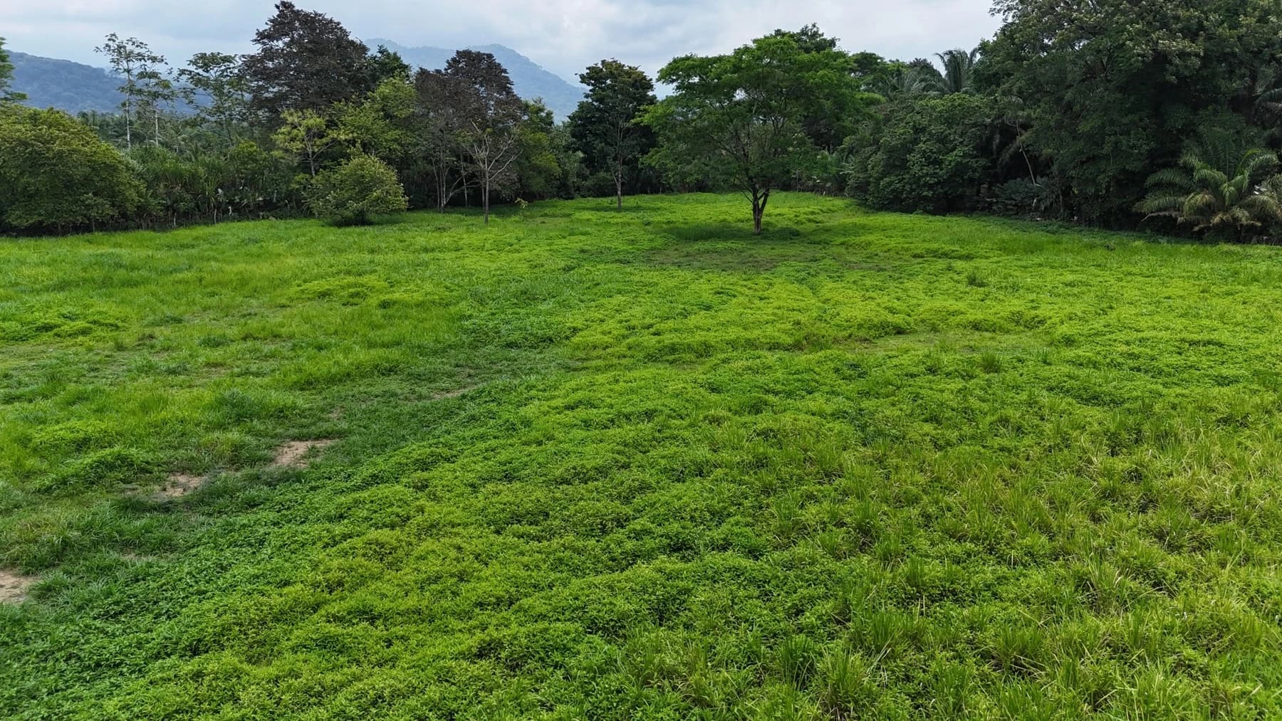 Terreno en Quepos