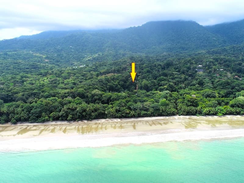 Land at Bahía Ballena