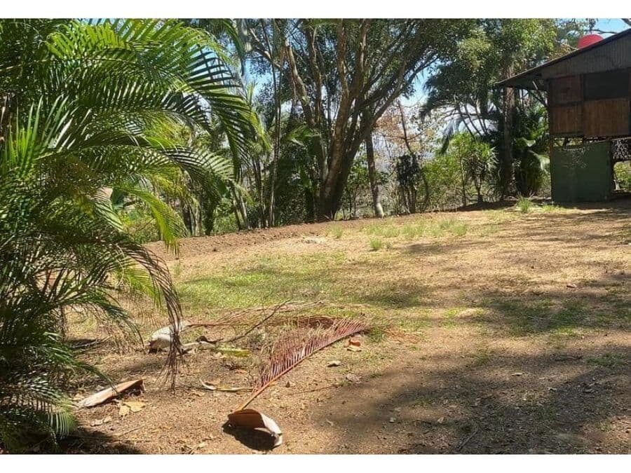 Land at Alajuela