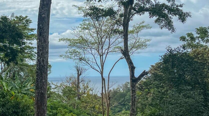 Land at Santa Teresa